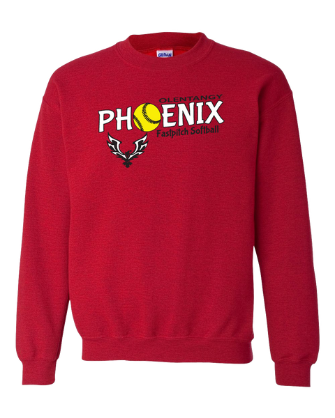 Crewneck Sweatshirt