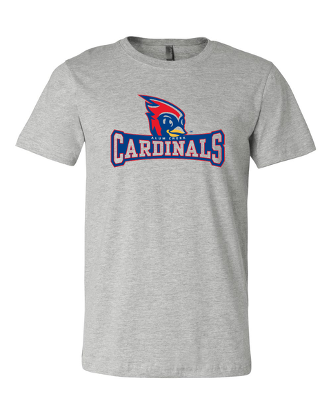 Soft Triblend T-Shirt