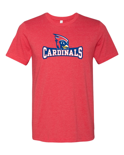 Soft Triblend T-Shirt